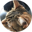 はなちょび profile picture
